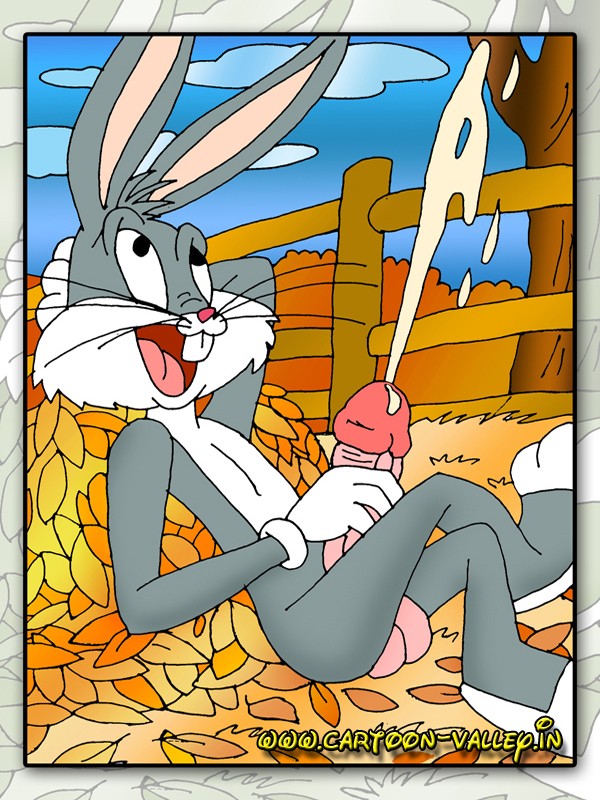 600px x 800px - CARTOON-VALLEY.IN - Looney Tunes heroes orgy